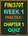 FIN/370T Week 1 Practice: Chapter 1 Quiz